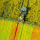 Multispectral package