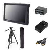 DJI M300 - Outdoor monitor package