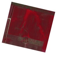 MicaSense - RedEdge-P Multispektralkamera (Standalone)